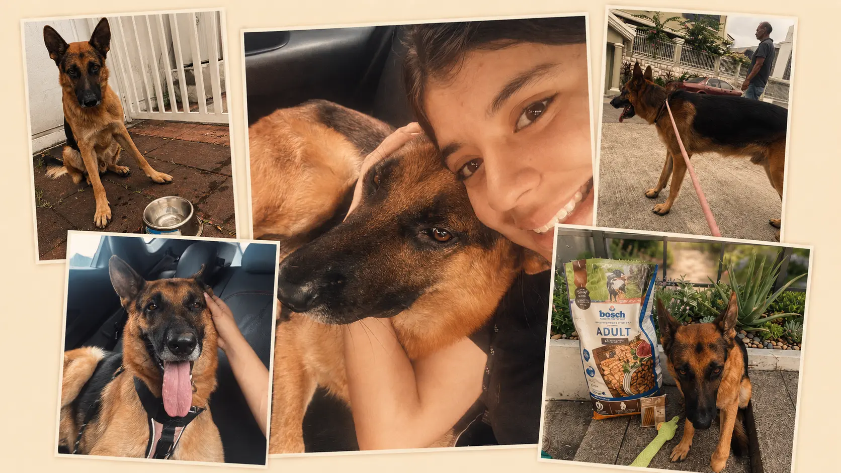 Collage de fotos de Delgado con Nai